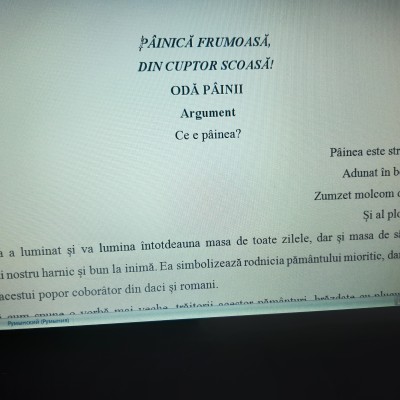 ACTIVITATE EXTRACURRICULARĂ „DRUMUL PÂINII. PÂINICĂ FRUMOASĂ, DIN CUPTOR SCOASĂ!” Învățământ preșcolar, primar și gimnazial [fișier .DOCX]