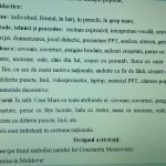 ACTIVITATE EXTRACURRICULARĂ - ȘEZĂTOARE FOLCLORICĂ „O, POM DULCE, STRĂMOȘESC, RAMURI CÂTE-N TINE CRESC?” [fișier .DOCX]