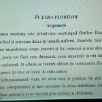ACTIVITATE EXTRACURRICULARĂ  „ÎN ȚARA FLORILOR!” [fișier .DOCX]