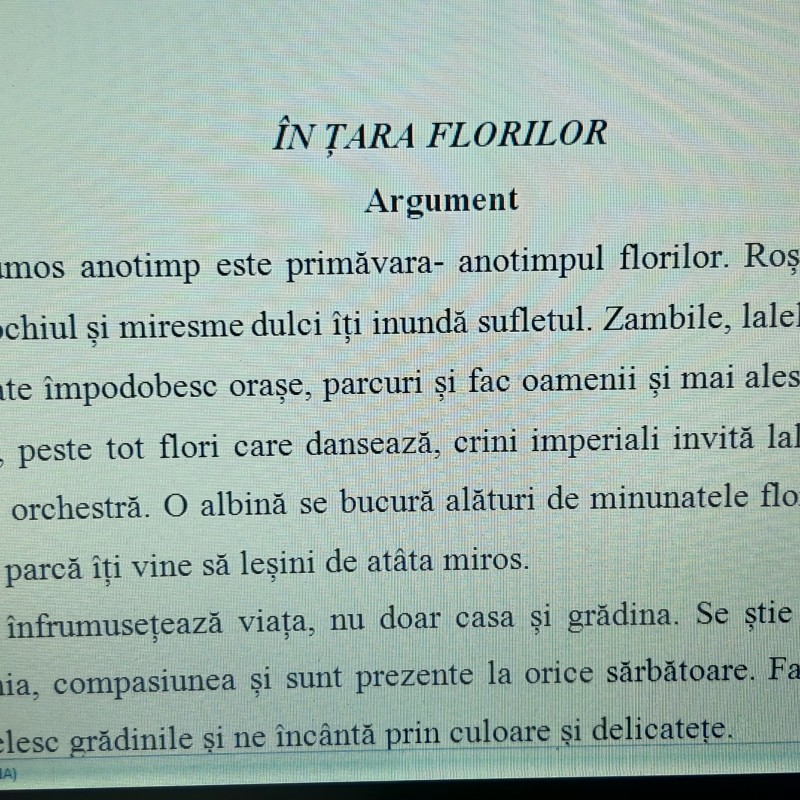ACTIVITATE EXTRACURRICULARĂ  „ÎN ȚARA FLORILOR!” [fișier .DOCX]