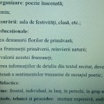 ACTIVITATE EXTRACURRICULARĂ  „ÎN ȚARA FLORILOR!” [fișier .DOCX]