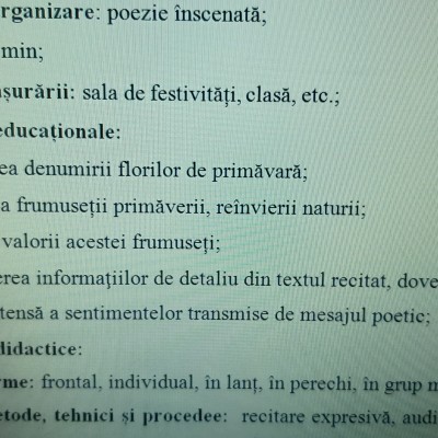 ACTIVITATE EXTRACURRICULARĂ  „ÎN ȚARA FLORILOR!” [fișier .DOCX]