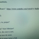 ACTIVITATE EXTRACURRICULARĂ  „ÎN ȚARA FLORILOR!” [fișier .DOCX]