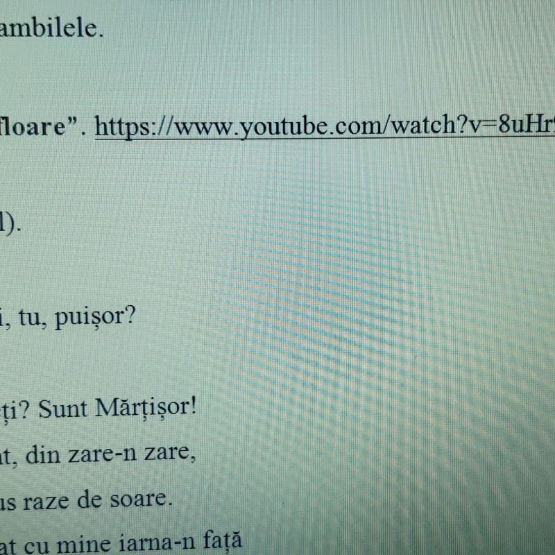 ACTIVITATE EXTRACURRICULARĂ  „ÎN ȚARA FLORILOR!” [fișier .DOCX]