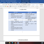 Plan de afaceri complet – Producerea și comercializarea lumânărilor artizanale [fișier .DOCX]