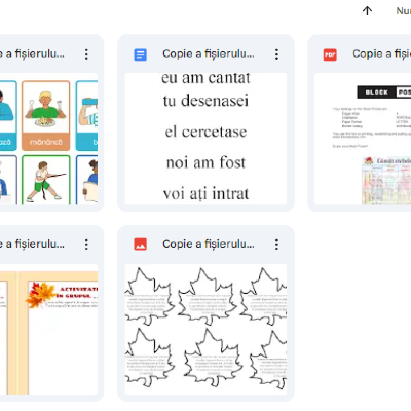 Verbul. Timpul, persoana și numărul. Exerciții aplicative.