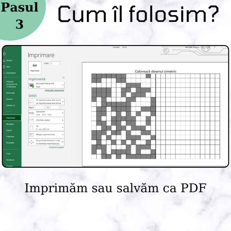 Excel Generator de Jocuri - Colorare desen simetric