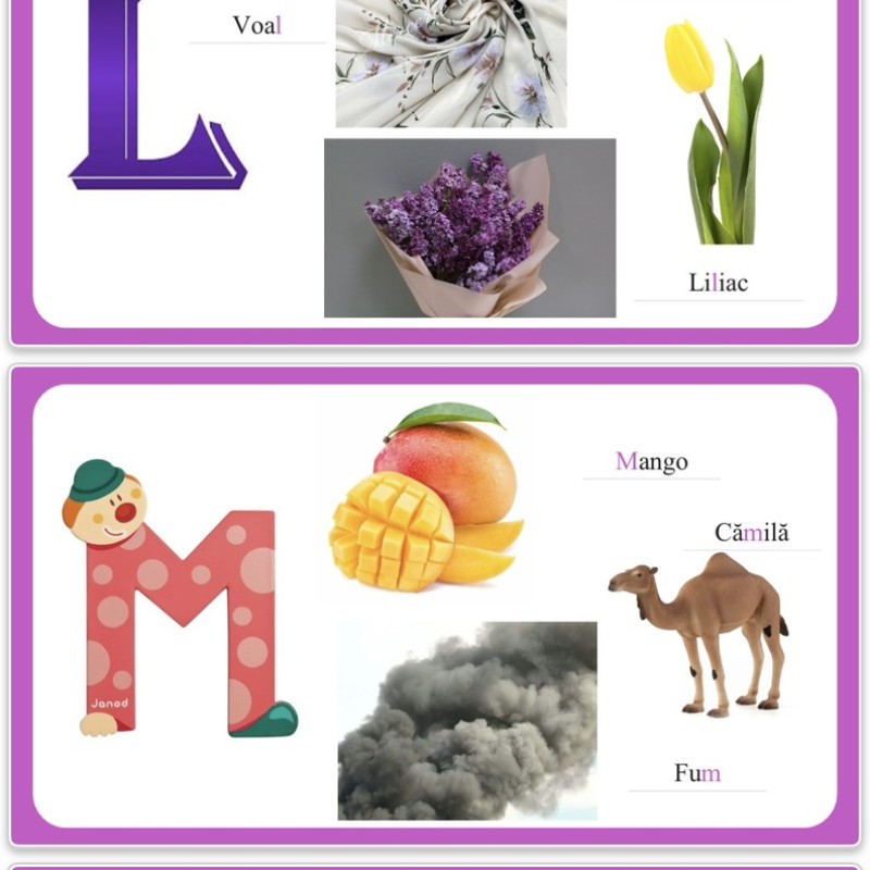 Alfabet Distractiv [fișier .PPTX]