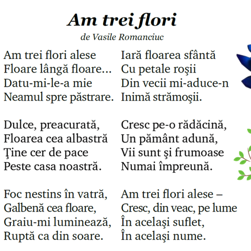L.Lit.Română. Clasa a III-a. Textul „Am trei flori”, de Vasile Romanciuc [fișier .PPTX]