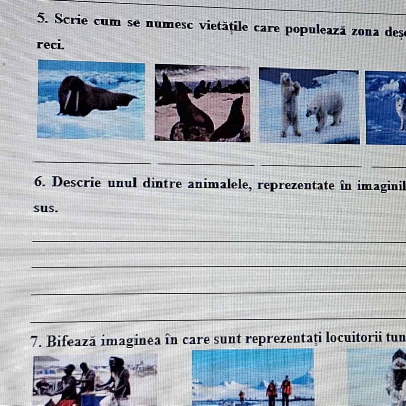 Deșerturile reci. Tundra Științe clasa 3 [fișier .DOCX]