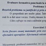 Evaluare formativă punctuală: Operații aritmetice în exerciții și probleme [fișier .DOC]