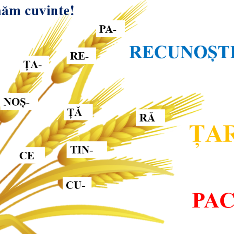 1 septembrie 2022_-ANUL RECUNOȘTINȚEI (PPT)