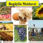 Republica Moldova- o țară, o casă, un grai (PPT)