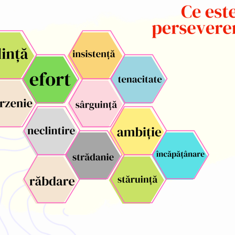 Ședință cu părinții_Perseverența. Clasele 2-4 (PPT)