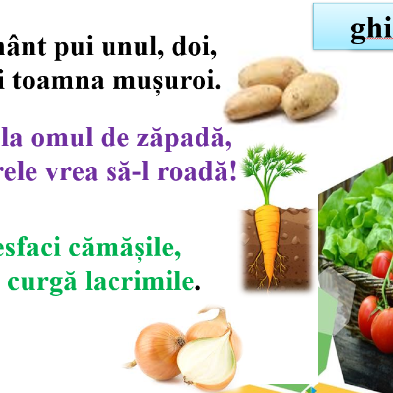 Abecedar_Descrieri de obiecte. Cuvântul format din două silabe