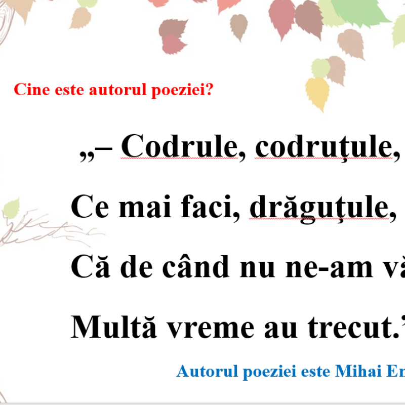 Abecedar_Litera E mare