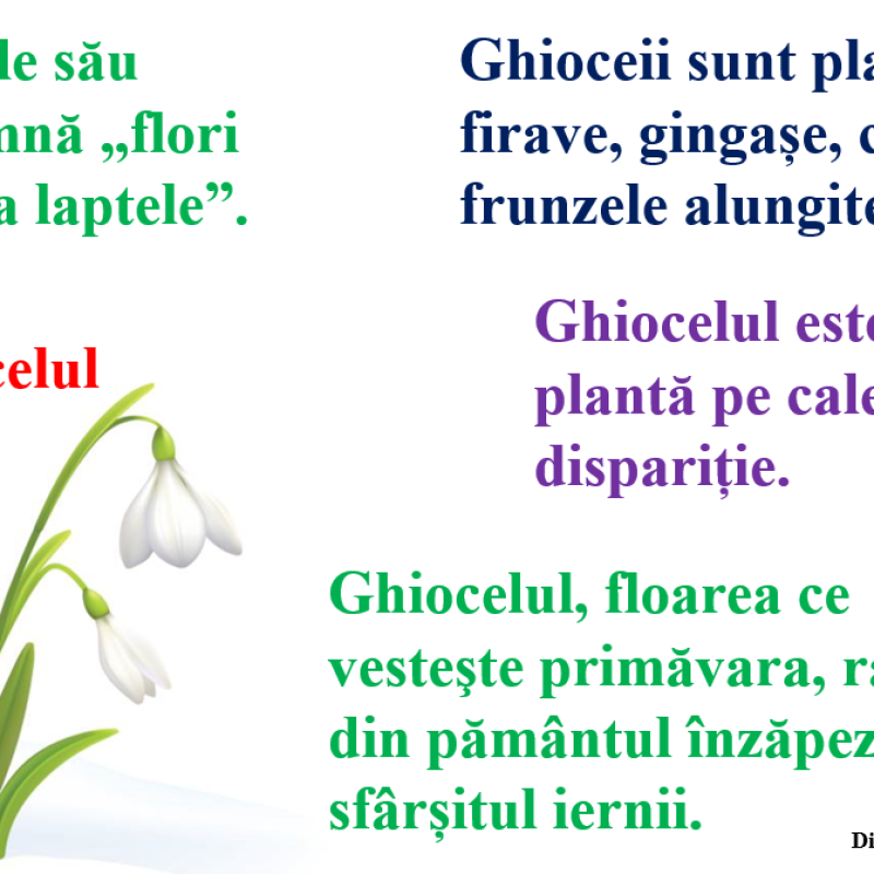 Abecedar_Grupul de litere „ghi” și „Ghi”. Textul „Ghiocelul”. Partea 1
