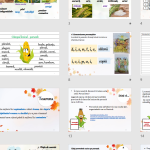 Clasa a 3-a: Textul: „Culesul porumbului”, de I. Agârbiceanu. Calităţile (însușirile, trăsăturile) personajului literar (lecția a 2-a)/PPT