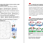 Cărțulie despre iarnă, clasa a 3-a