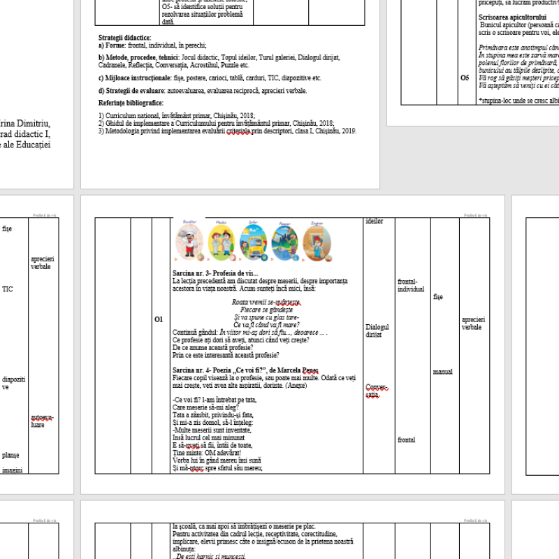 Profesii de vis_ Proiectul word