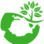 Educaţia tehnologică ,clasa a VII-a   Modulul: Designul spaţiilor verzi