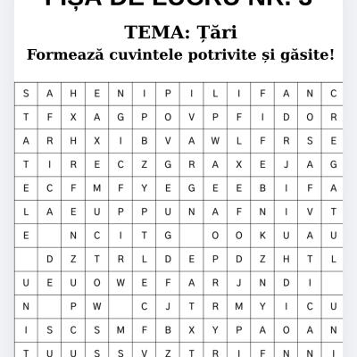 FIȘĂ DE LUCRU NR.3 - ȚĂRI [fișier .PDF]