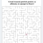FIȘĂ DE LUCRU NR. 5 - Labirint [fișier .PDF]