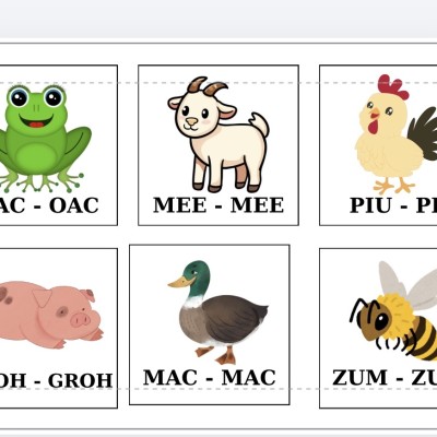 FIȘE - ONOMATOPEE - SUNETELE ANIMALELOR [fișier .PDF]
