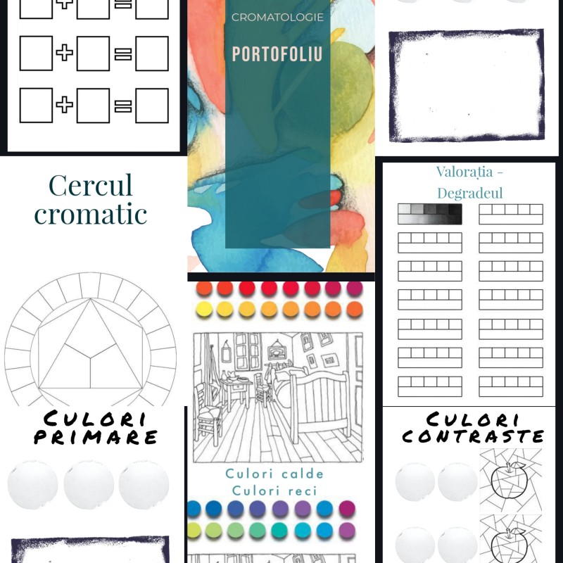 Portofoliu - studiul culorii