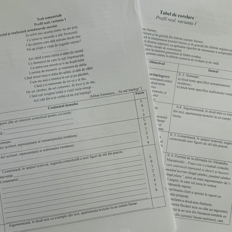 Teza semestrială la limba și literatura română, clasa a XI-a, profil real [fișier .DOCX]