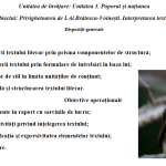 Proiect didactic Privighetoarea de I.Al.Brătescu-Voinești. Interpretarea textului [fișier .PPTX]