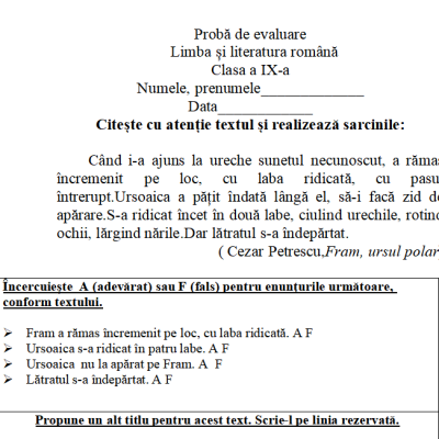 Proba de evaluare la limba și literatura română, CES [fișier .DOCX]