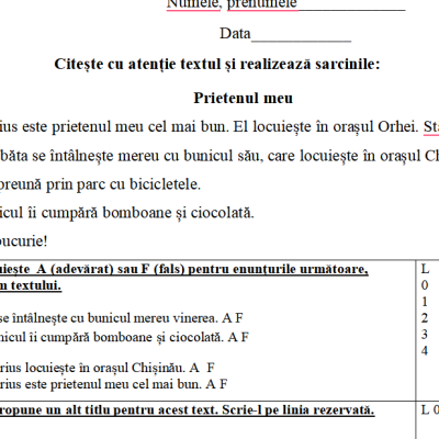 Probă de evaluare la limba și literatura română, CES [fișier .DOCX]
