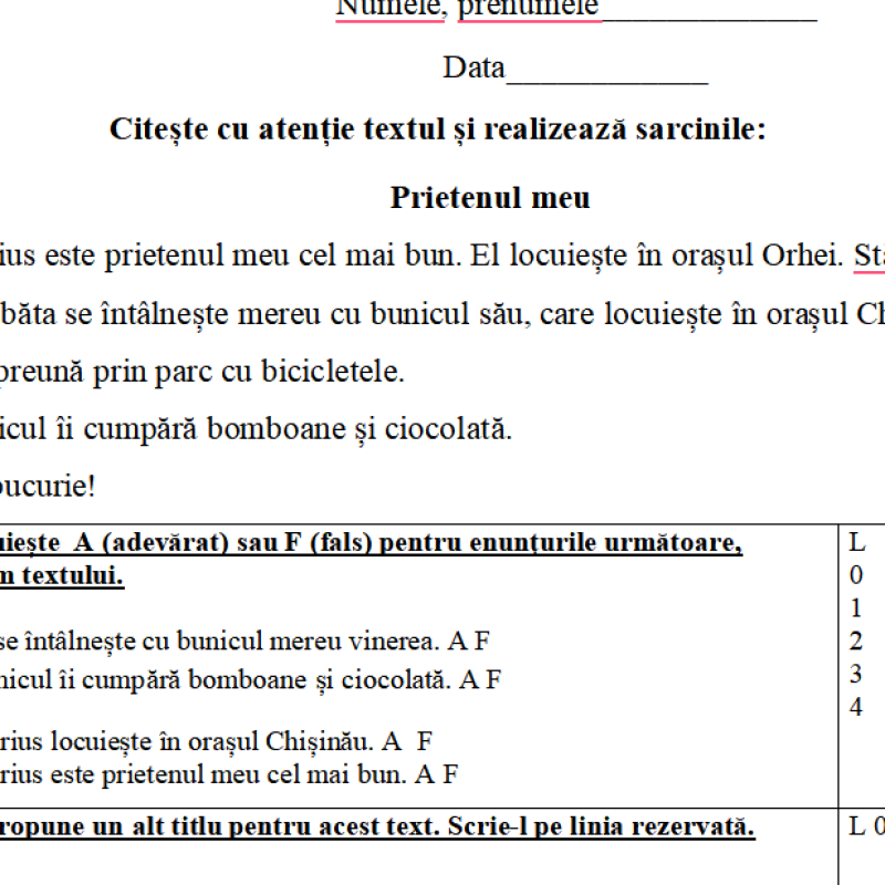 Probă de evaluare la limba și literatura română, CES [fișier .DOCX]