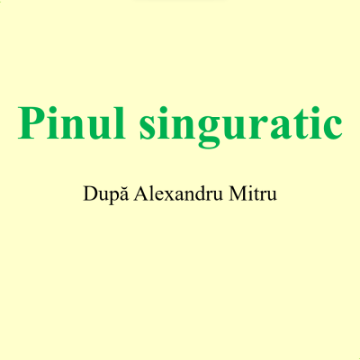 LL rom. cl. a II-a, Pinul singuratic [fișier .PPTX]