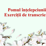 Clasa I, Pomul înțelepciunii. Exerciții de transcriere [fișier .PPTX]