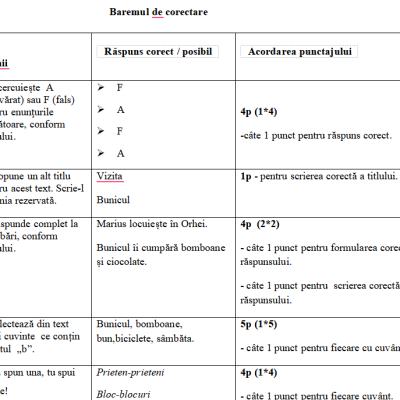 Probă de evaluare la limba și literatura română, CES [fișier .DOCX]