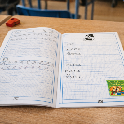 Stickere educaționale pentru verificarea temei (PDF A4)