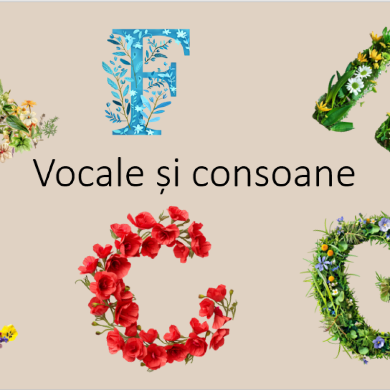 Fișă de lucru. Vocale și consoane