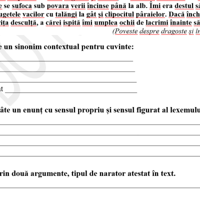 Teza la Limba și literatura română, clasa a X-a, profil real– disponibilă în 2 variante [fișiere .DOCX]