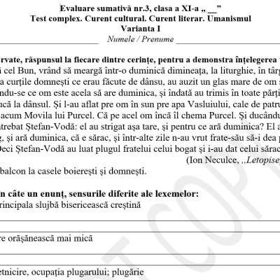Evaluare sumativă nr.3, clasa a XI-a. Test complex. Umanismul [fișier .DOCX]