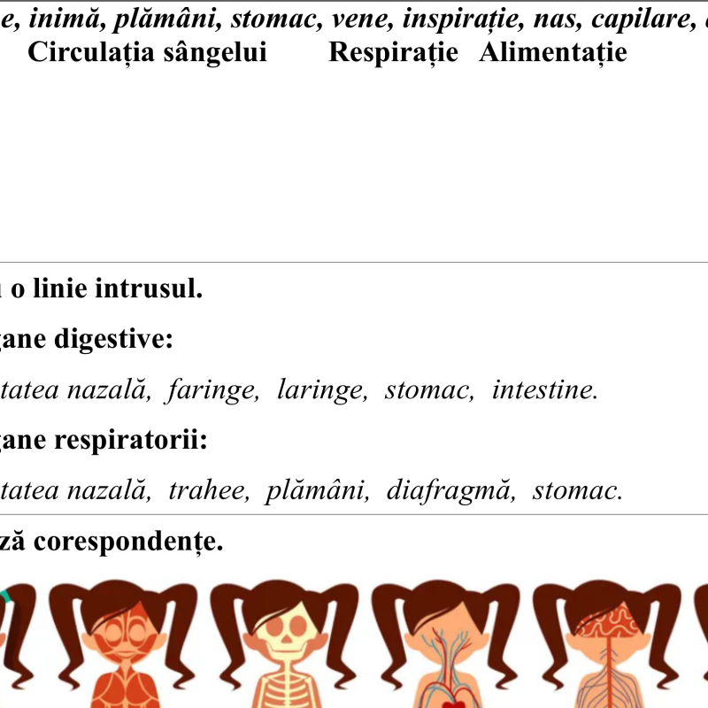 Evaluare formativă nr. 3 la științe „Omul- ființă biologică”, modulul 3, semestrul 2, clasa 4 [fișier .DOCX]