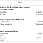 TEST de examen, clasa a IX-a , elev cu CES [fișier .DOCX]