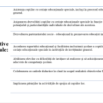 Planul de activitate a cadrului didactic de sprijin