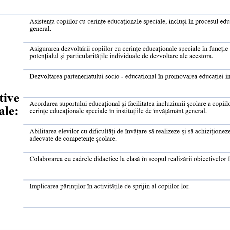 Planul de activitate a cadrului didactic de sprijin