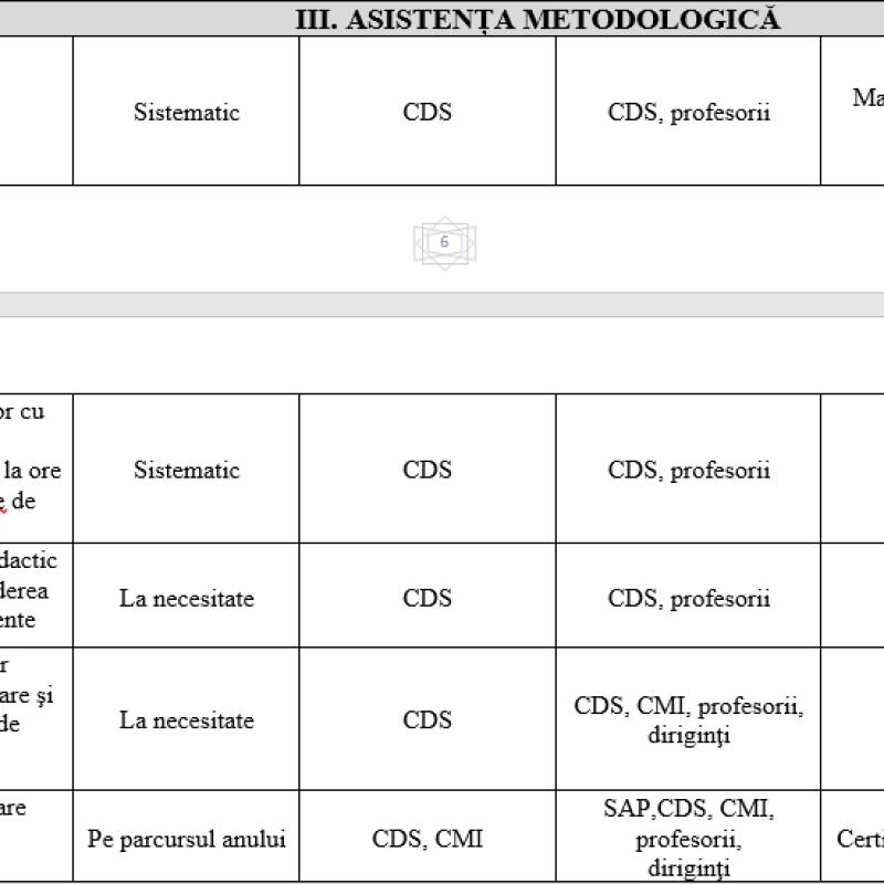 Planul de activitate a cadrului didactic de sprijin