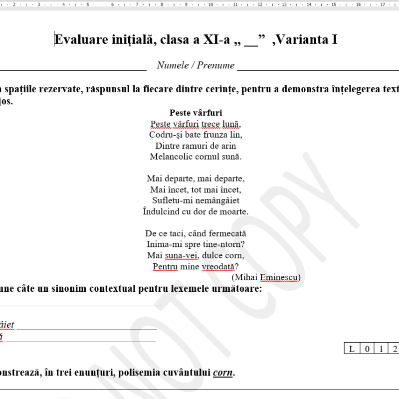 Evaluare inițială, clasa a XI-a [fișier .DOCX]