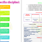 Proiect de lungă durată la informatică clasele a VII-a - a IX-a [fișier .DOCX]