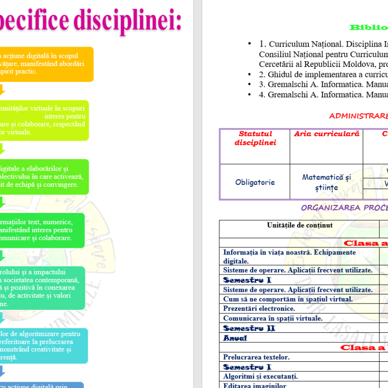 Proiect de lungă durată la informatică clasele a VII-a - a IX-a [fișier .DOCX]