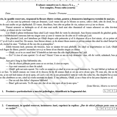 Evaluare sumativă, nr.3,  Proza scurtă. Nuvela, clasa a X-a